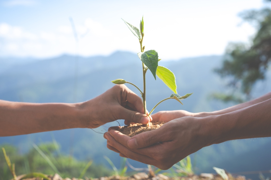 Altéal devient Société à Mission